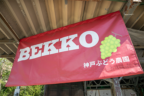 BEKKO 神戸ぶどう農園の看板